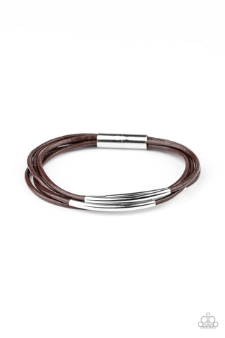 Power Cord (brown)